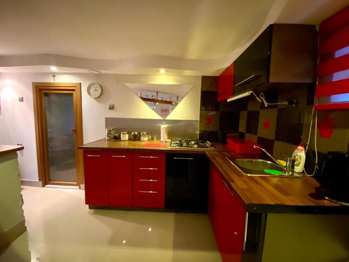 Studio Roxi Bachowice المظهر الخارجي الصورة